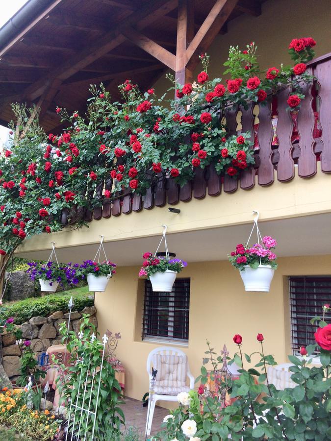 Bed and Breakfast Mona'S Sleep & Go Buren  Exterior foto