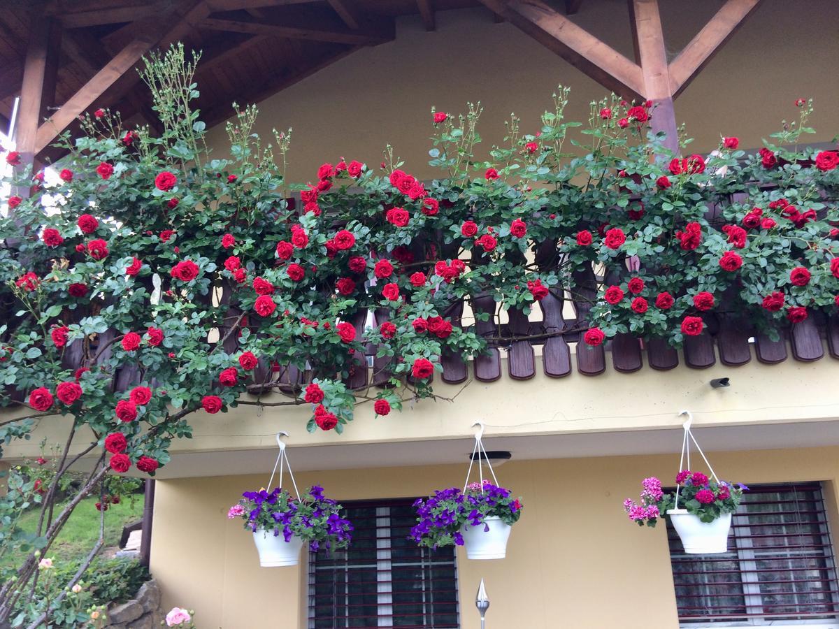 Bed and Breakfast Mona'S Sleep & Go Buren  Exterior foto